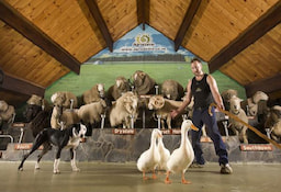 Agrodome - 0