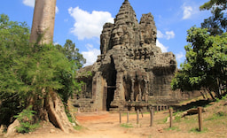 Angkor Temple Tour