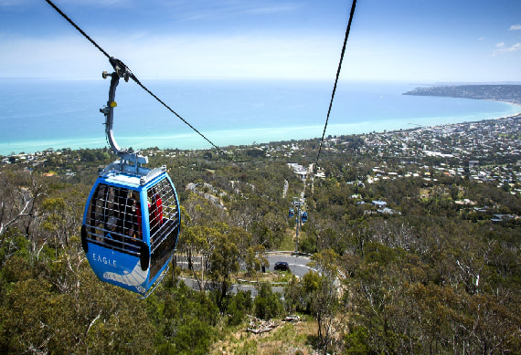 Arthurs Seat Eagle