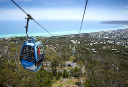 Arthurs Seat Eagle