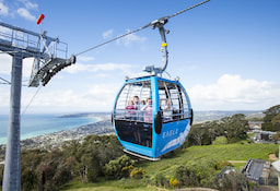 Arthurs Seat Eagle