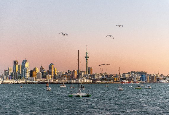 Auckland- 0