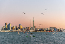Auckland- 0