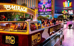 Big Bus Night tour