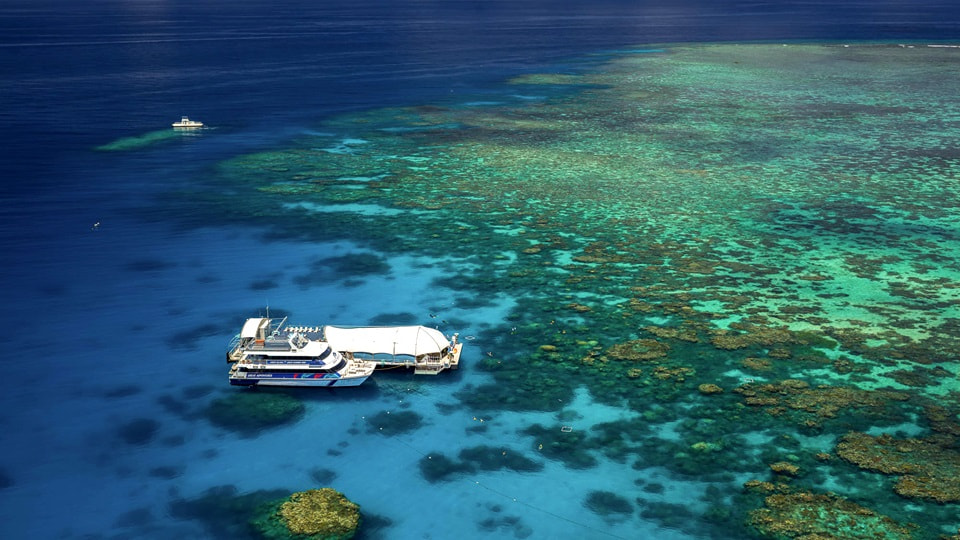 Big Cat Green Island Reef Cruises 