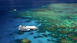 Big Cat Green Island Reef Cruises 