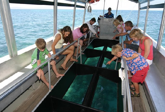 Big Cat Green Island Glass Ottom Boat  - 0