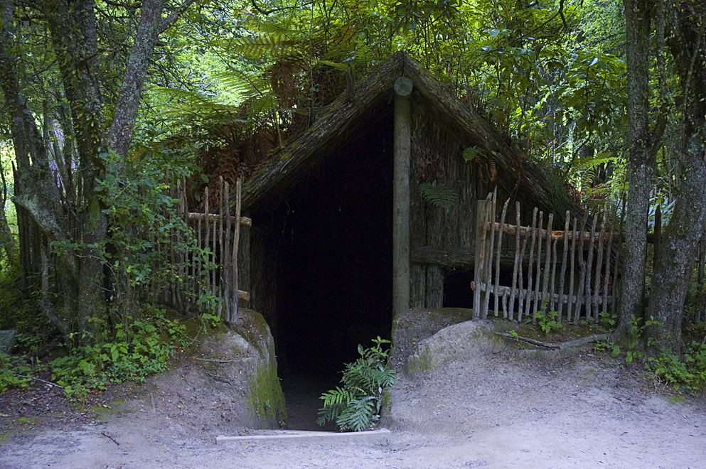 Buried Village of Te Wairoa Tour