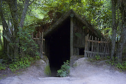 Buried Village of Te Wairoa Tour