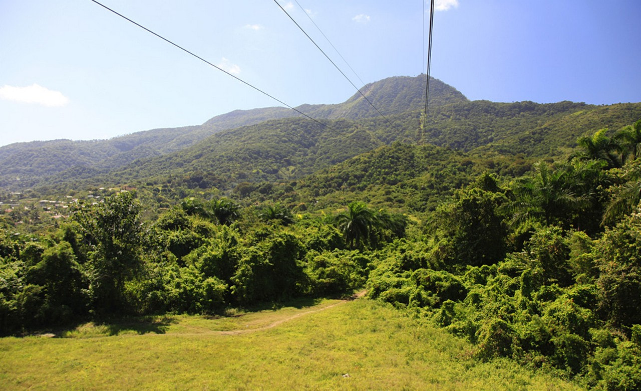 Cable Car