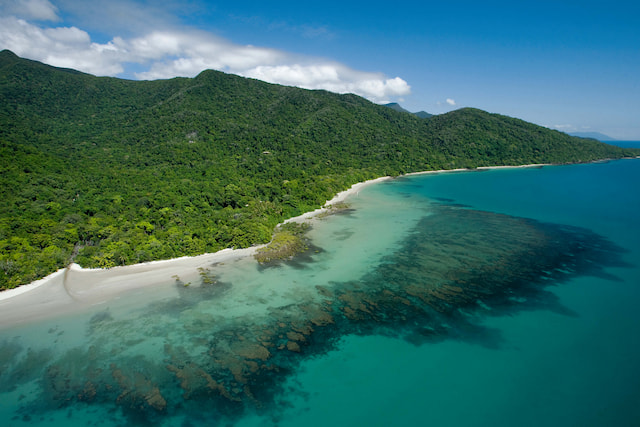 Cape Tribulation