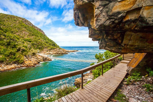 Tsitsikamma National Park 