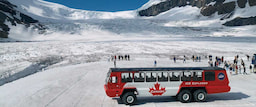 Columbia Icefields 