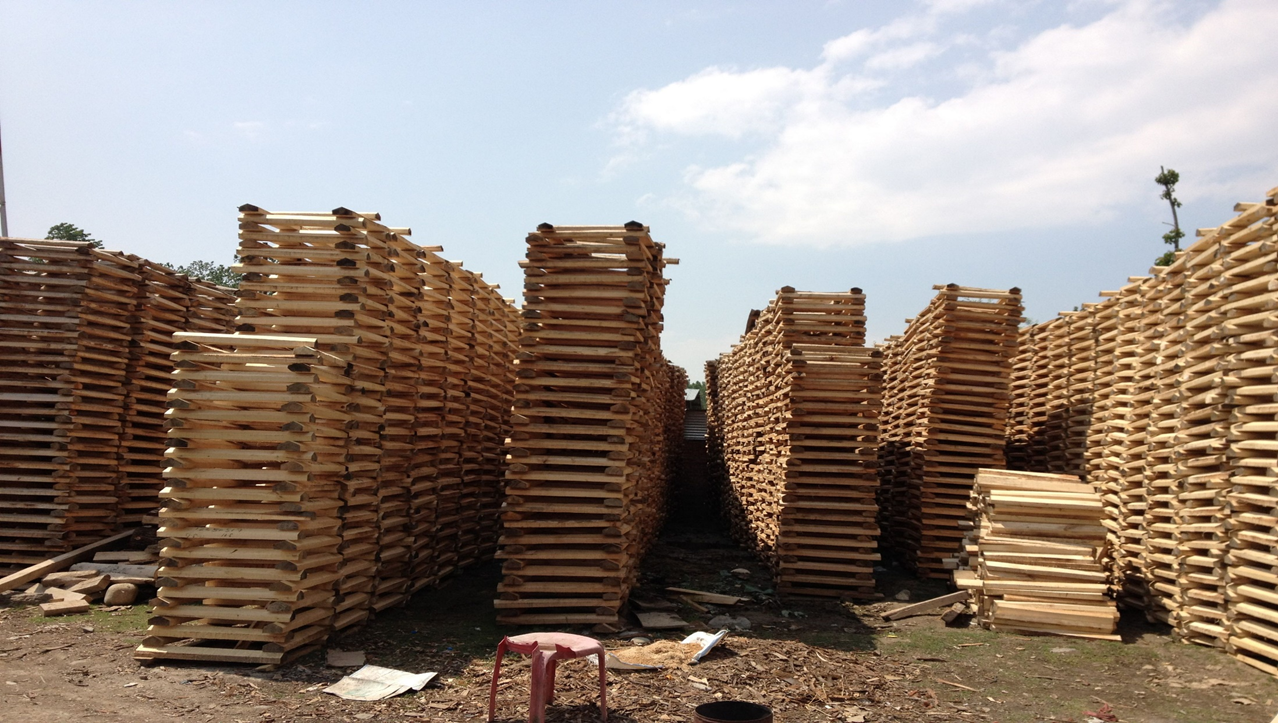 Cricket Bat Factory