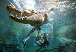 Crocosaurus Cove