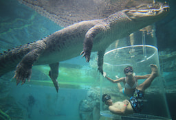 Crocosaurus Cove