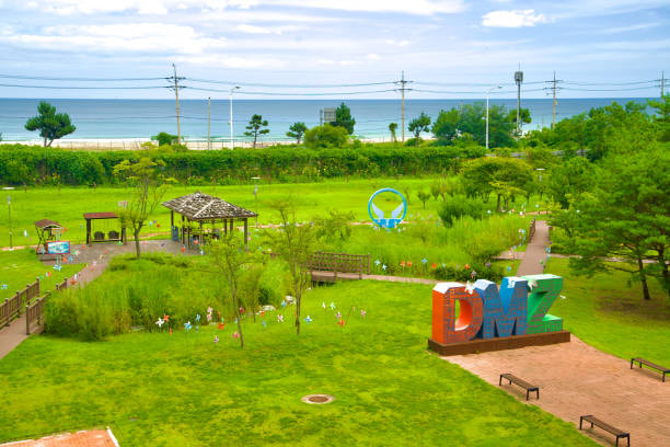 DMZ TOUR