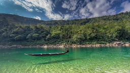 Dawki river