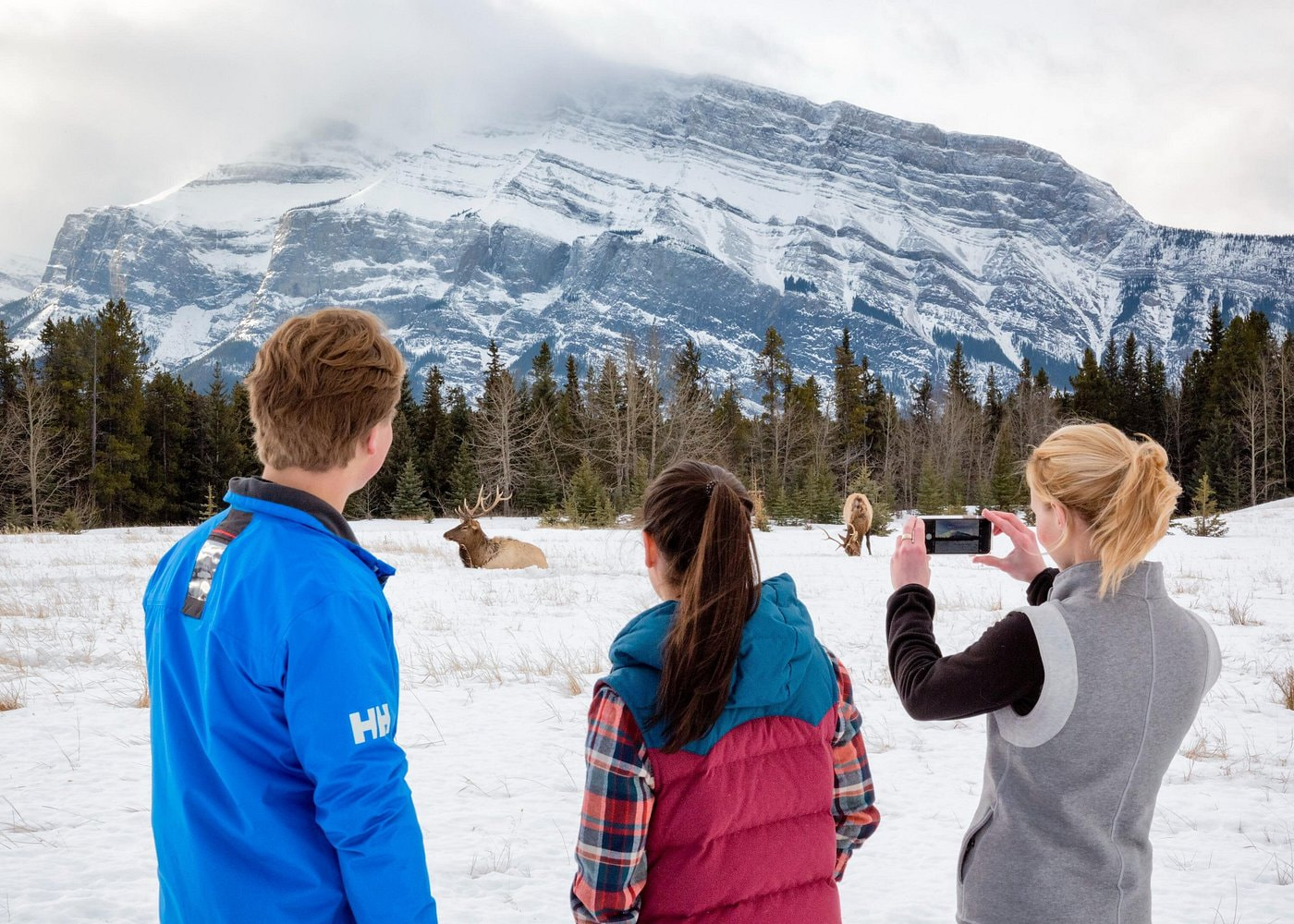 Discover Banff and Its Wildlife