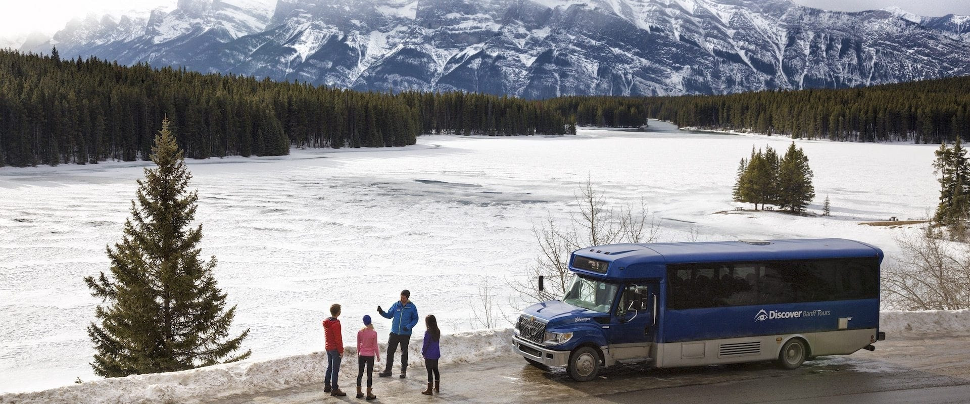 Discover Banff and Its Wildlife