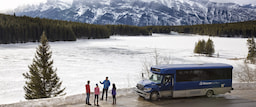Discover Banff and Its Wildlife