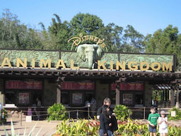 Disney Land 3