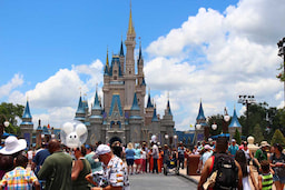 Disney Land 5