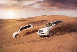 Desert Safari - O