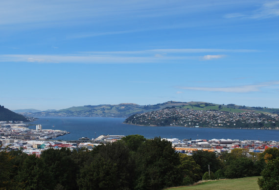 Dunedin