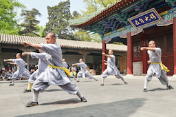 Enjoy The Martial Art & Cultural Show