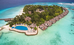 Taj Coral Reef