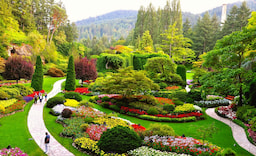 butchart gardens