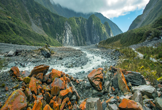 Fox Glacier