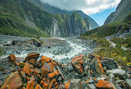 Fox Glacier