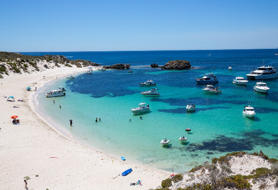 Full Day Rottnest Island Tour