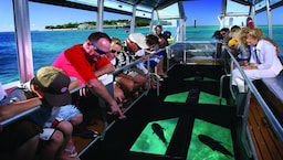 Glass Bottom Boat 