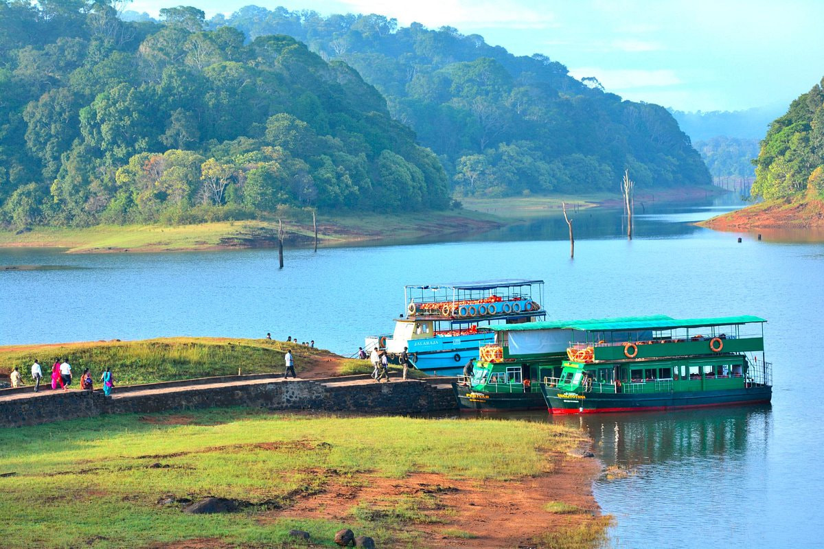 Go for Periyar Boat Jungle Safari