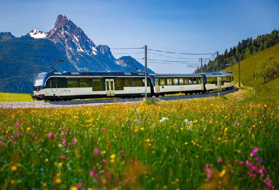 Golden Pass Line 