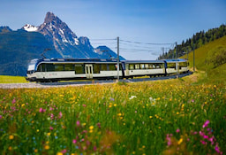 Golden Pass Line 