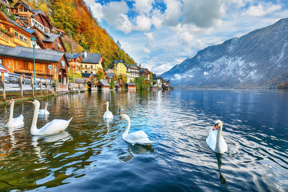Hallstatt Town  3