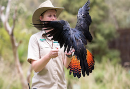 Healesville Sanctuary