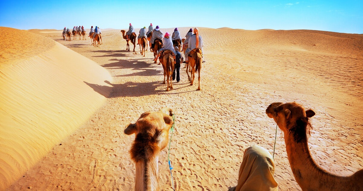 Desert national park Jaisalmer