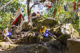 Kabi Lungchok 3