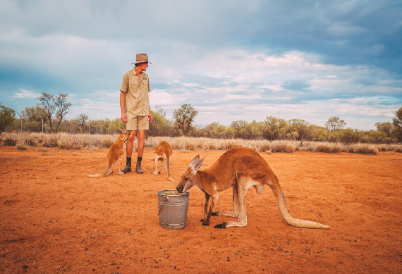 Kangaroo Century Sunset Tour