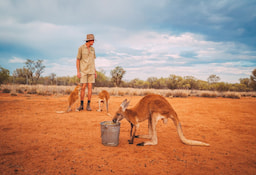 Kangaroo Century Sunset Tour