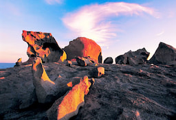 Day Tour To Kangaroo Island Cruise