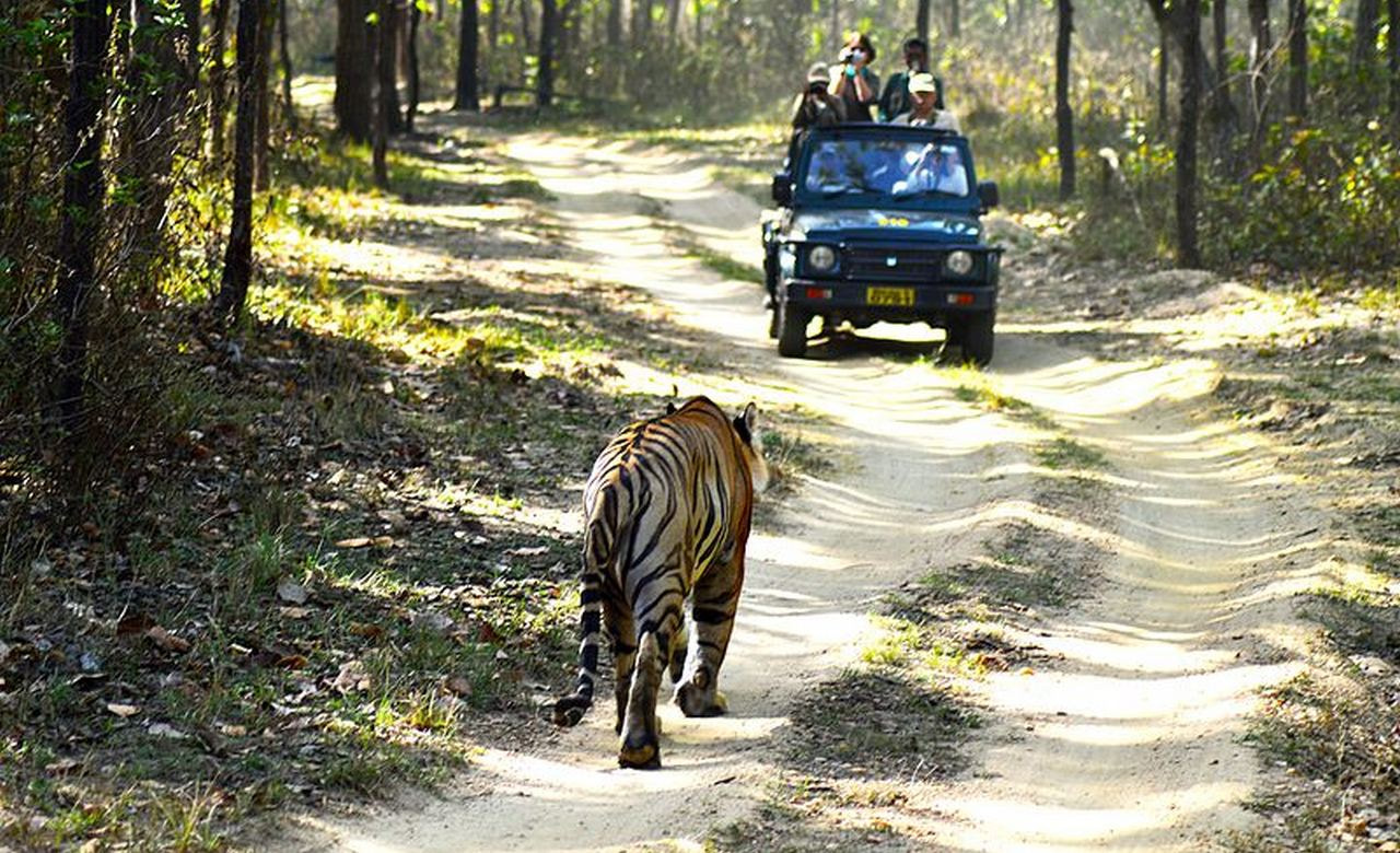 Kanha National Park 4