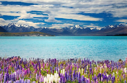 Lake Tekapo