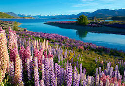 Lake Tekapo