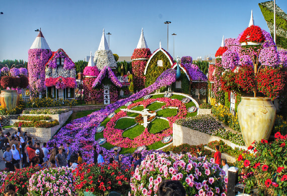 Miracle Garden - O